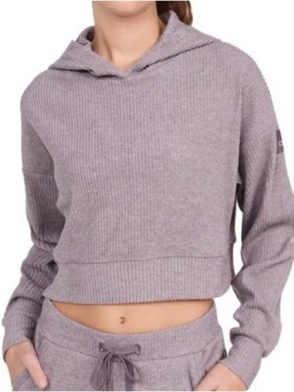 Alo L Muse hoodie / raisinette heather